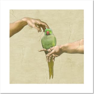 scritching a green indian ringneck #full Posters and Art